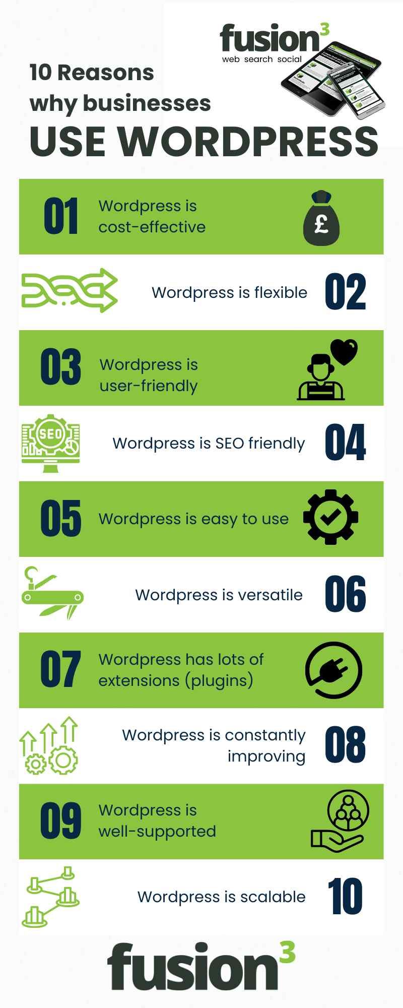 10 Reasons why businesses use WordPress infographic